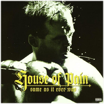 House of Pain - Same as It Ever Was (30th Anniversary) - LP & 7" { Vinyl LP }